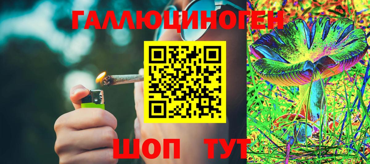 Галлюциногенные грибы Psilocybe Урай